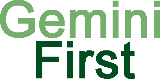 Gemini First Contract Resourcing
